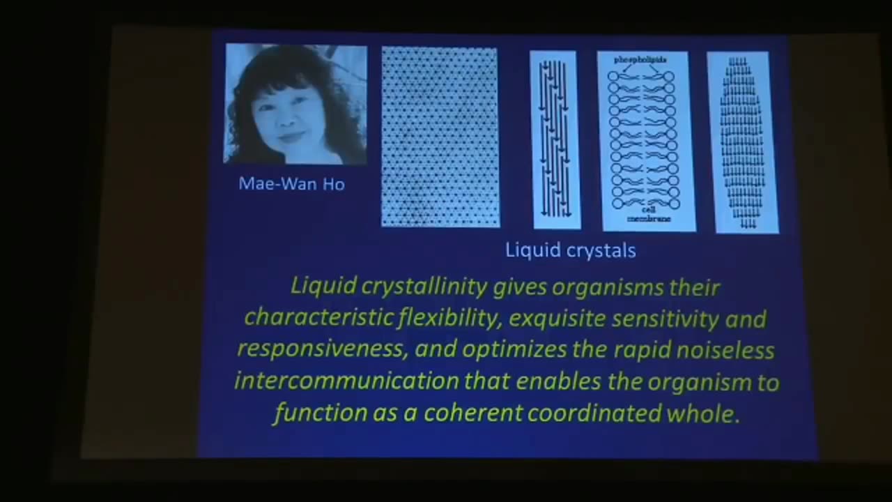 ARE WE LIQUID CRYSTAL?