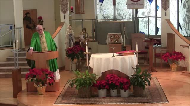 Homily for the 7th Sunday in Ordinary Time "C"