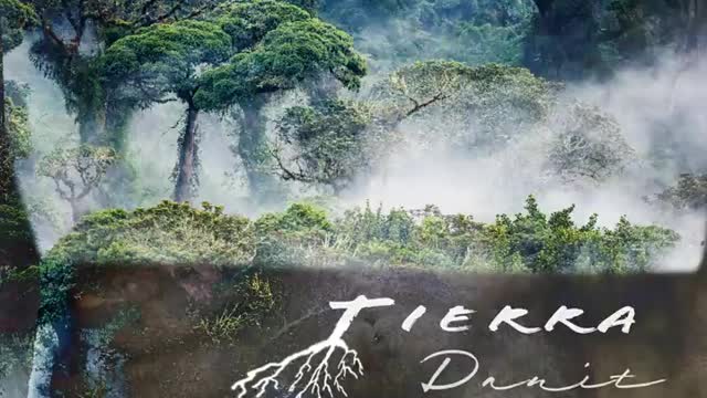 TIERRA - DANIT