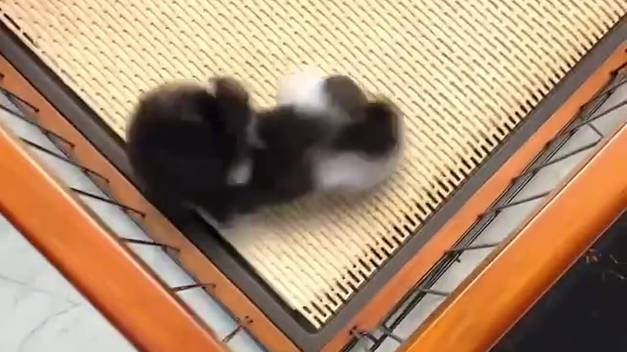Heard that want to go to a new home, the baby happy into this