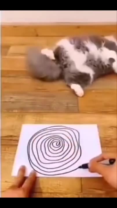 Hypnosis