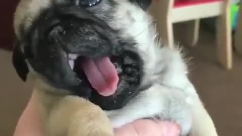 So cute