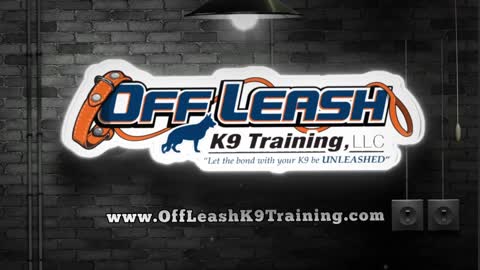 Off Leash K9 Training | Basic Lessons Program | Place Lesson