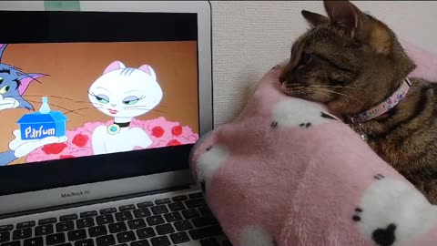 Mikochan love watch Tom Jerry series