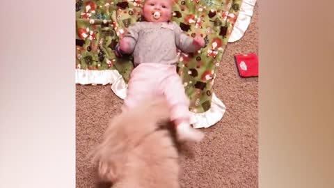 Best video of Cute Babies and Pets - Funny Baby and Pet