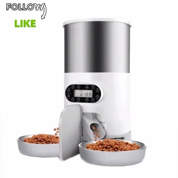 Cats first love each other then they fight follow this channel so I can bring you lots of cool content