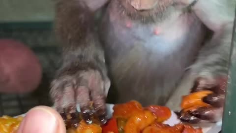 Eating Microne Monkey 🐒 Tag your Sister🤣How she Eat