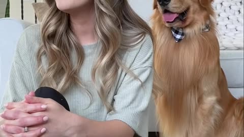 Calling My Dog When He's Right Next to Me