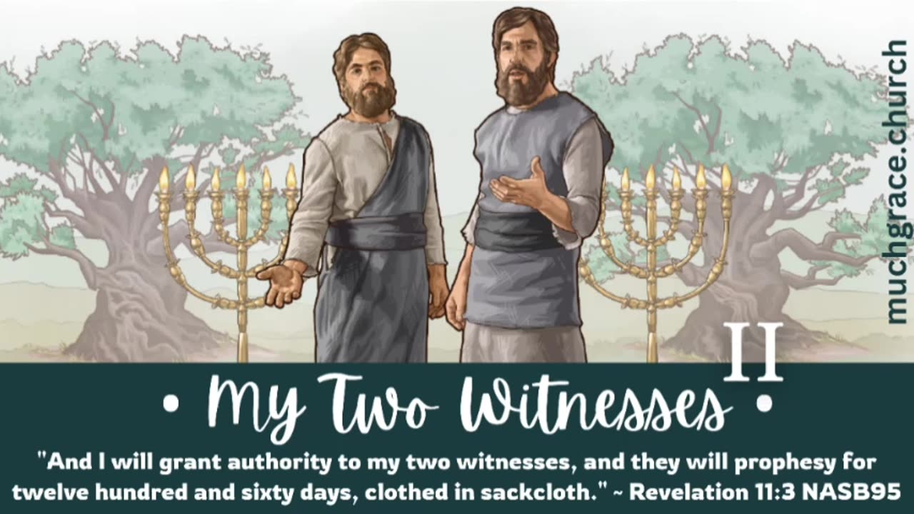 My Two Witnesses (2) : Prophecy in Patterns