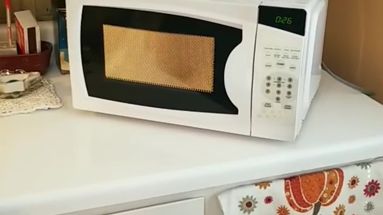 Malfunctioning Microwave Creates a Lightshow