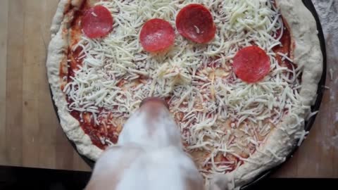 Dog Makes Pizza_ Cute Dog Maymo