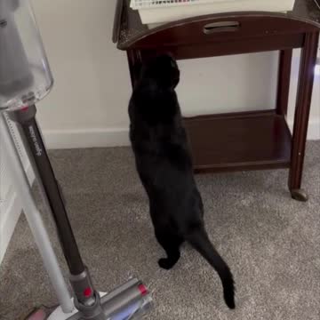 Disney Parks #1 Nurse T Shirt Metal Keychain #shorts