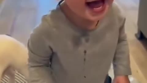 Funny Babies Video