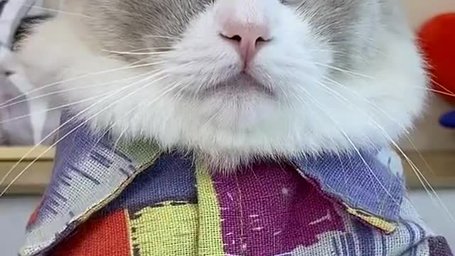 At least it’s somewhat close to a hand…