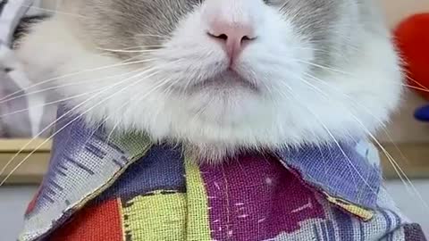 At least it’s somewhat close to a hand…