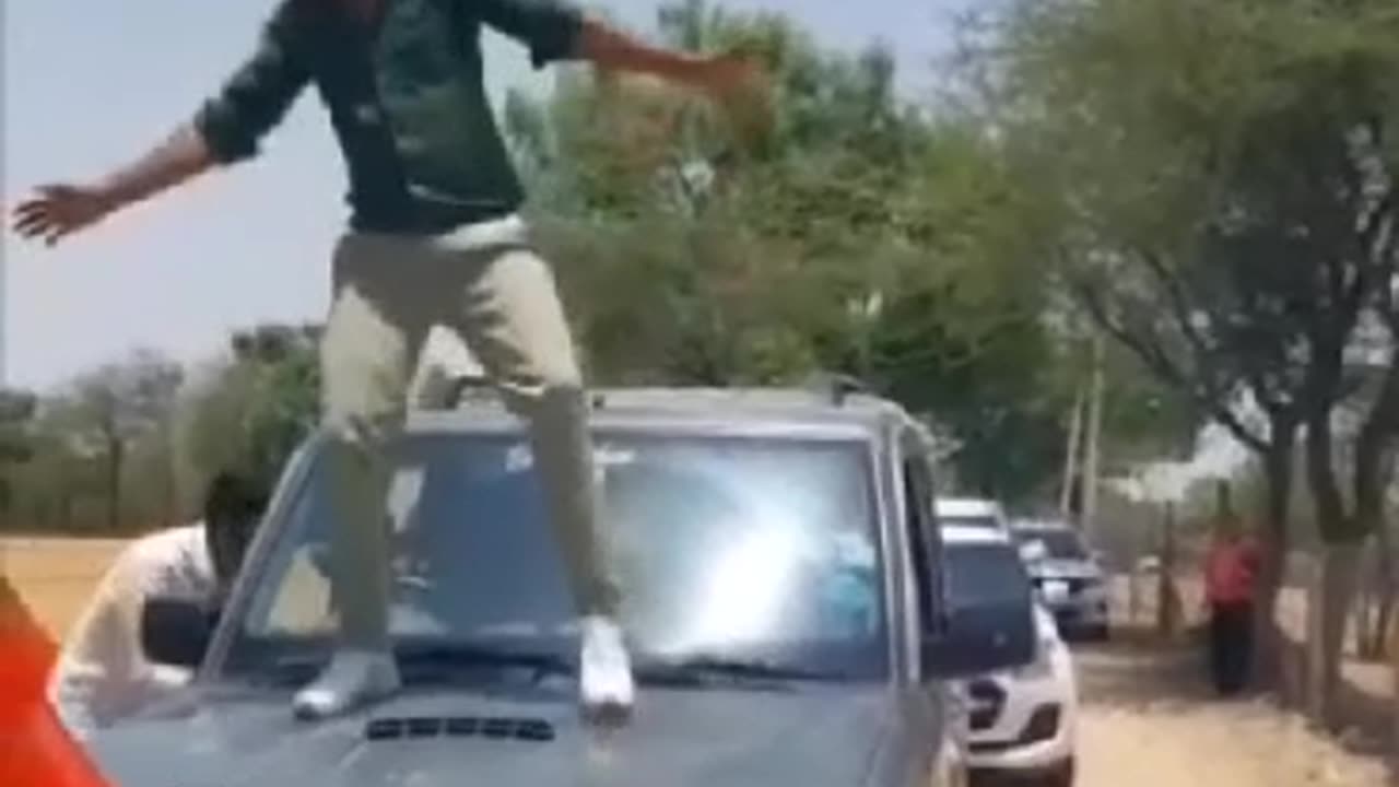 enjoy