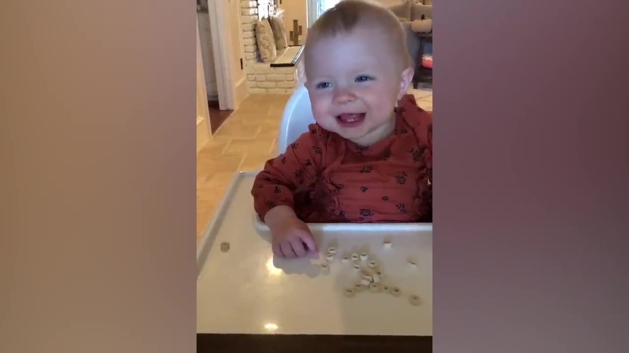 Funny Baby Videos - The Ultimate Try Not to Laugh Challenge!