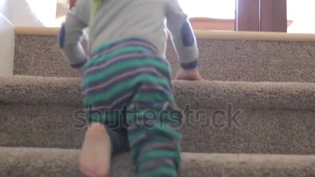 Little boy plays in the house with his parrot.