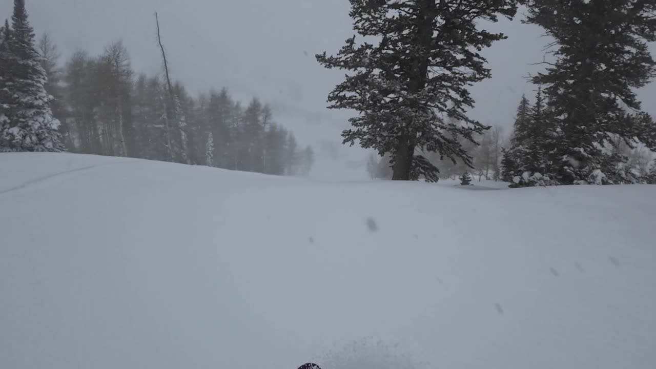 feb 28th bottom of sunrise