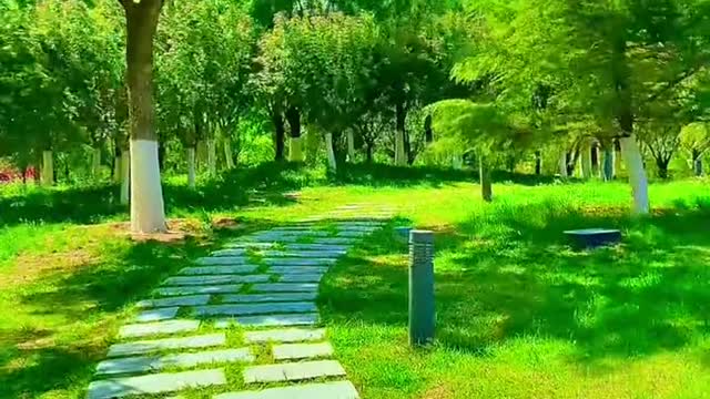 Enjoy the beauty of nature together