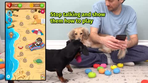 Crusoe's Squeaky Ball POP! - Launch Party & Quick Walkthrough Tutorial