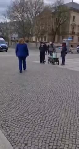 Die Grünen sind Kriegstreiber