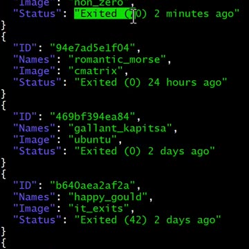 docker: build that exits with non-zero
