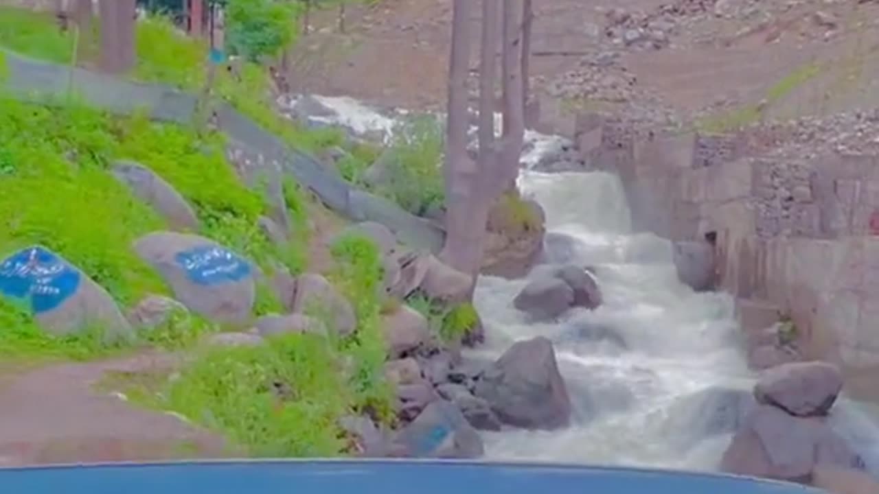 world beauty
