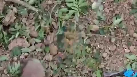 +18 Disturbing Video showing dead and wounded