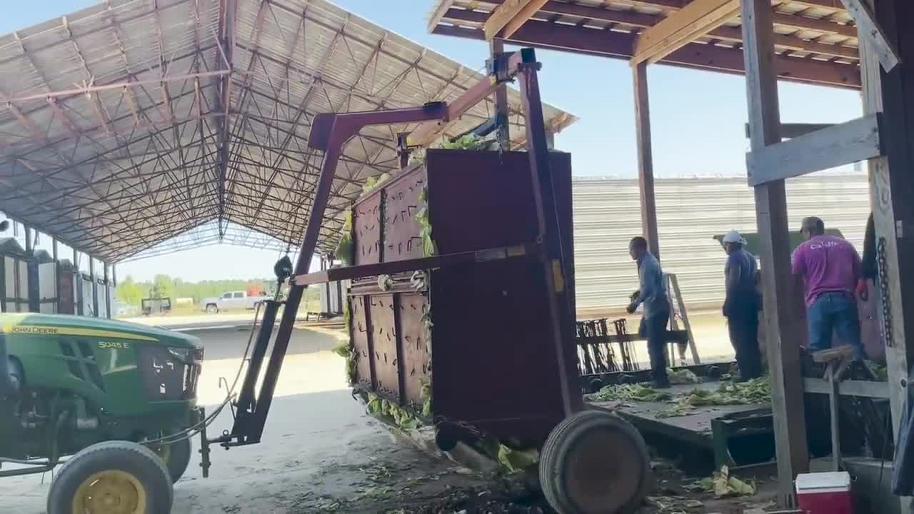 It's harvest season for Tobacco, Cotton and Peanuts in Northampton and Halifax Counties!