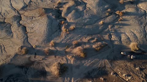 #18 Bisti Wilderness, October 2022