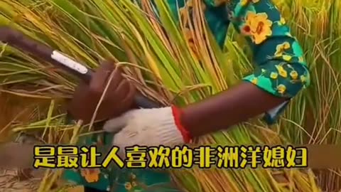 Africans in China's lifestyle