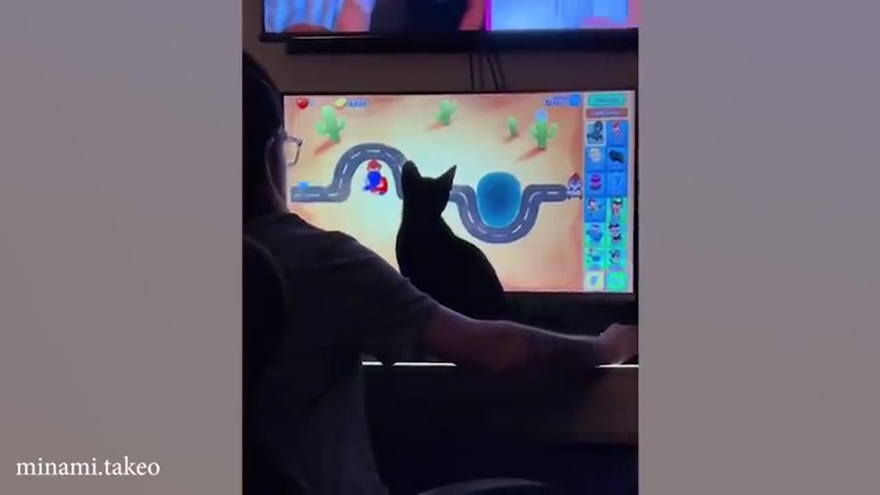 When These Cats and Their Dads are The Cutest Duo