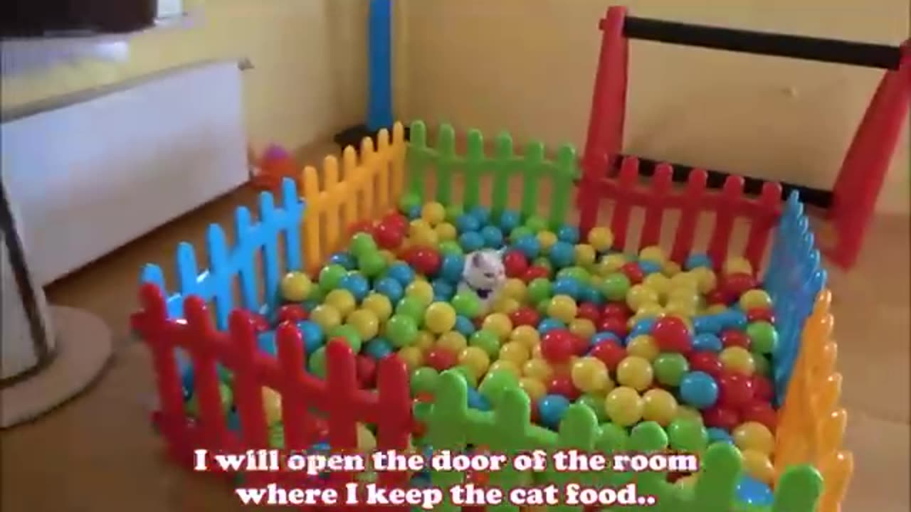 Two Cats and 500 Balls in a Ball Pit !!