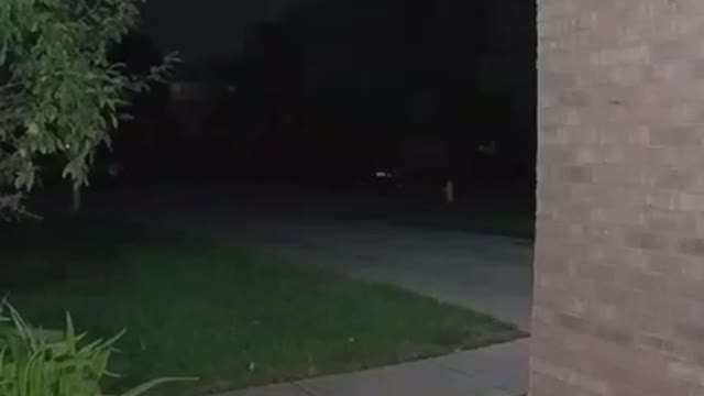 Raccoon Robs a Pizza from the Doorstep