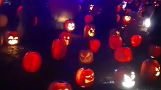 Pumpkin Family Reunion. Year 2, Part 25