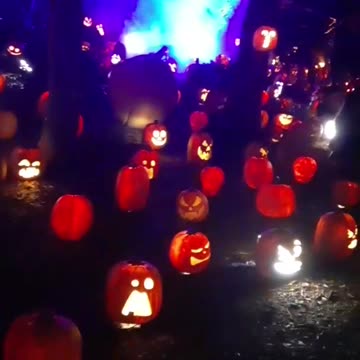 Pumpkin Family Reunion. Year 2, Part 25