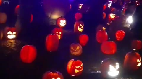 Pumpkin Family Reunion. Year 2, Part 25