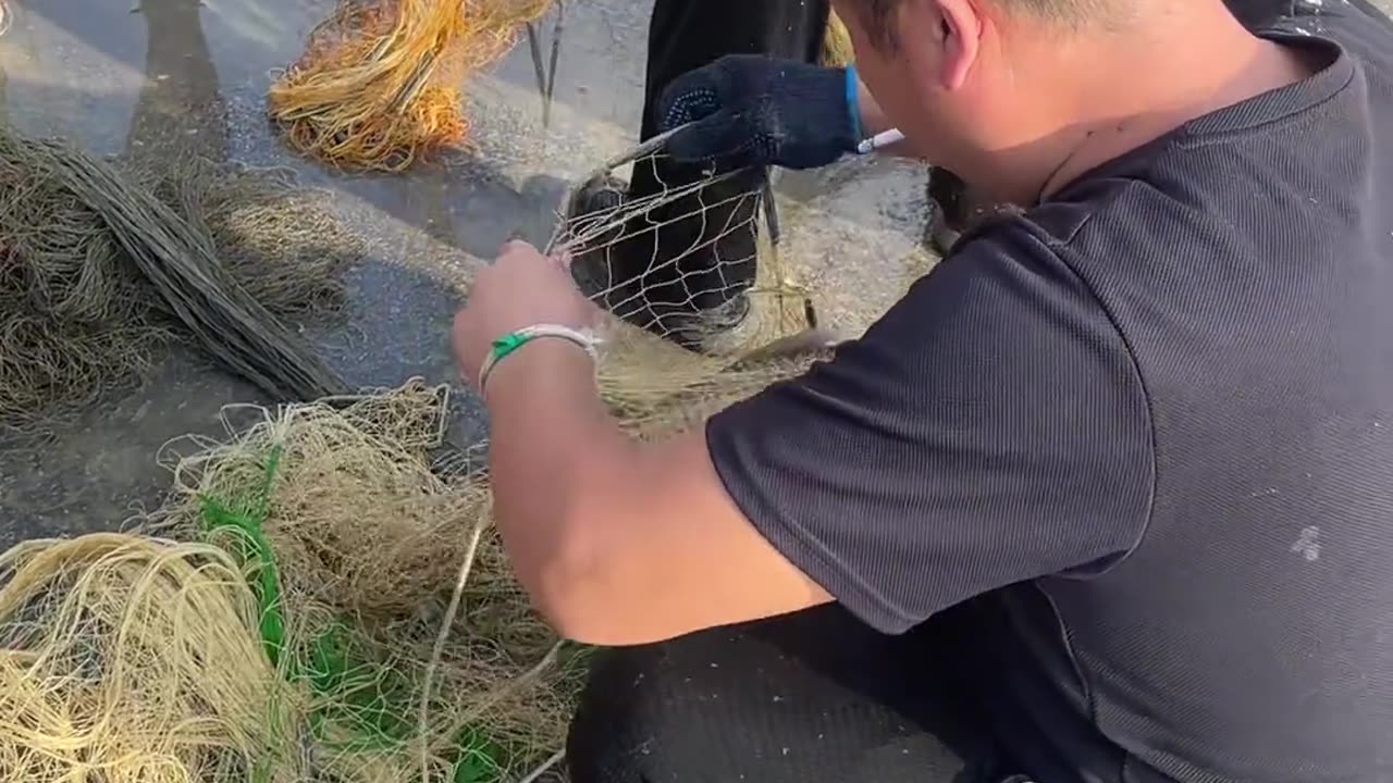 Amazing Fishing Videos