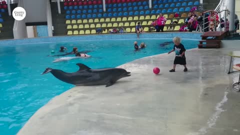 Adorable Toddler Plays Fetch With Playful Dolphin | Country Living