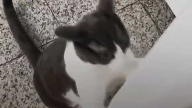 oblem