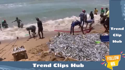 Beautiful Trincomalee Beach - Traditional Fishing - Sri Lanka