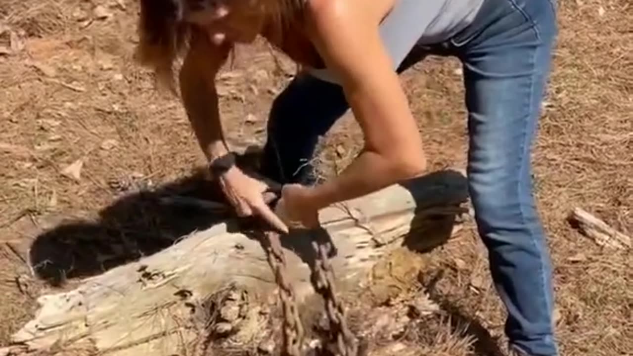 Watch stella and I drag a pretty big stump across the yard