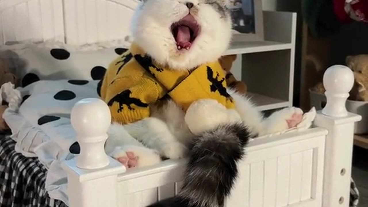 Sleep time