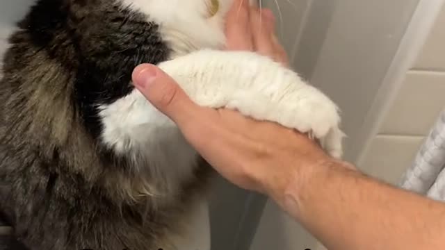 Pawl trying to save me from the shower since he is scared of water