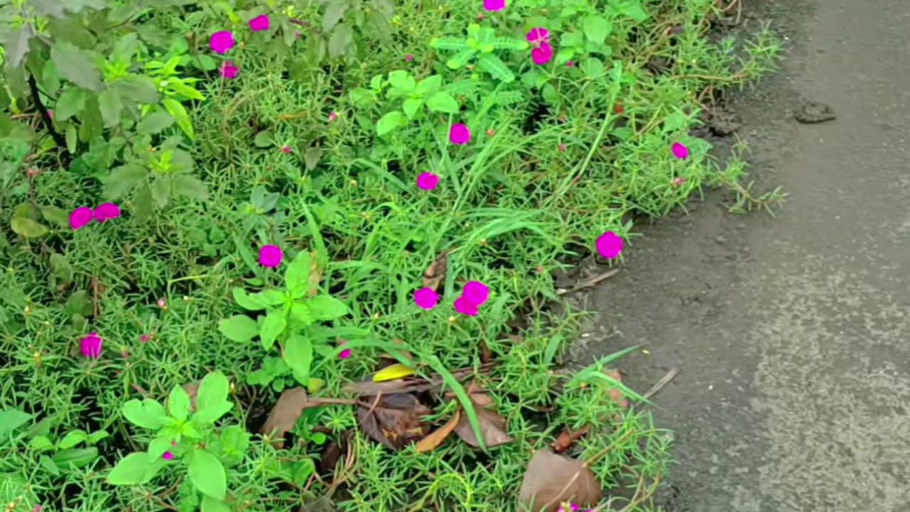 Beutiful ❤️❤️