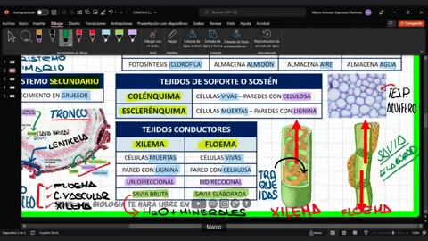 CIENCIAS DESDE CERO LBTHL 2022 | Semana 03 | BIOLOGÍA S1