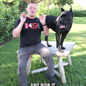 When Is the Best Time to Get That 2nd Puppy?