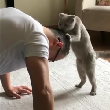 Come on man..Push up.🙈