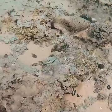 Youtube doesn_t want me here _( _shorts(720P_60FPS)